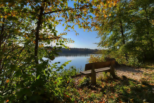 引發了全球 引發了全球