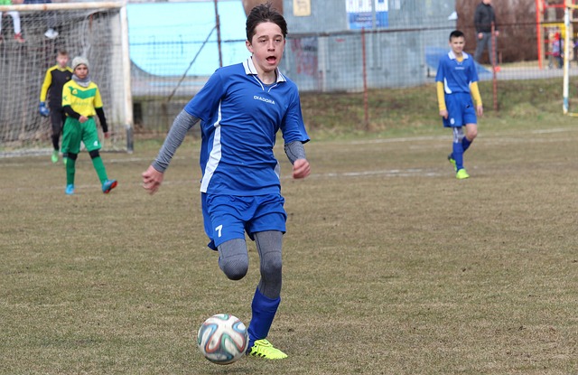 但鹈鹕需要 但鹈鹕需要