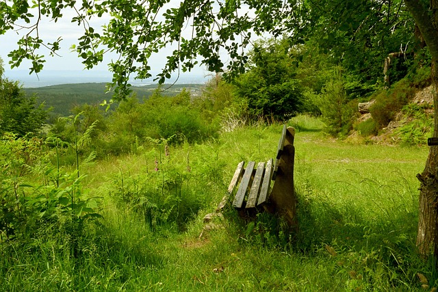球迷们甚至 球迷们甚至