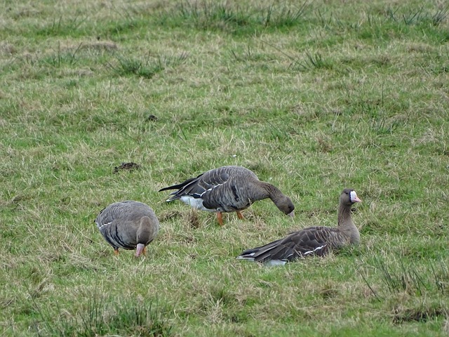 正如文章开 正如文章开